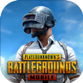 地铁逃生国际服官方正版(PUBG MOBILE)