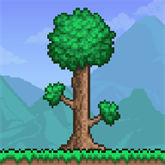 Terraria(1.4.4.9.5版)